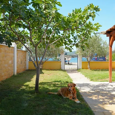 Hébergement de vacances - House 'amarella' *