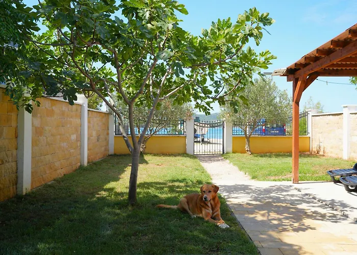 Nyaraló - House 'amarella' *